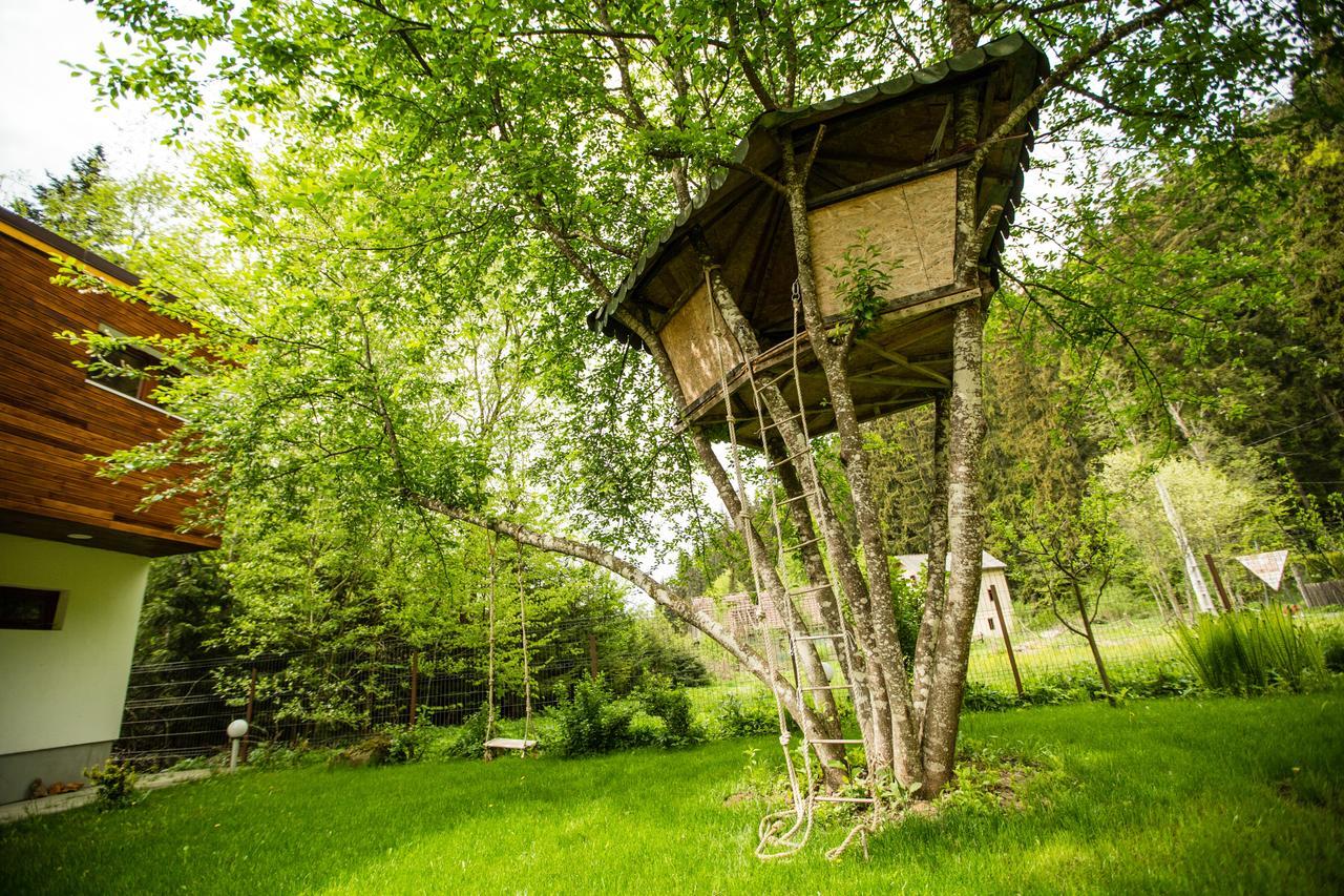Cabana Jasmin Băile Chirui 外观 照片